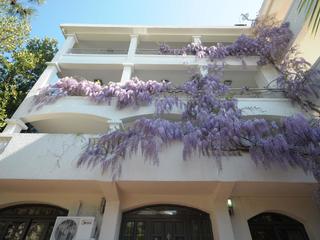 Villa Obala (ex. Obala Lux)