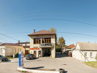 Жемчужина на Мира 156а (Zhemchuzhina on Mira 156a)