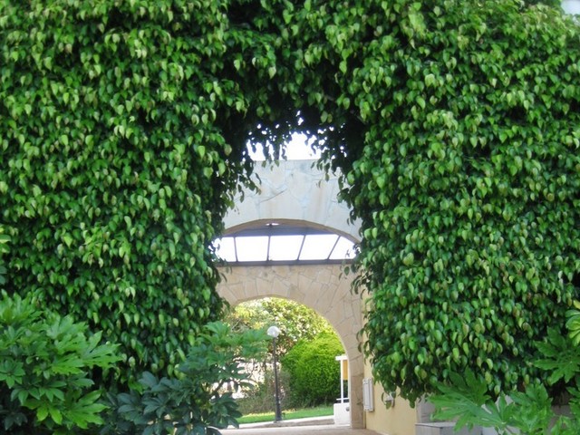 фото Villa Aldina изображение №6