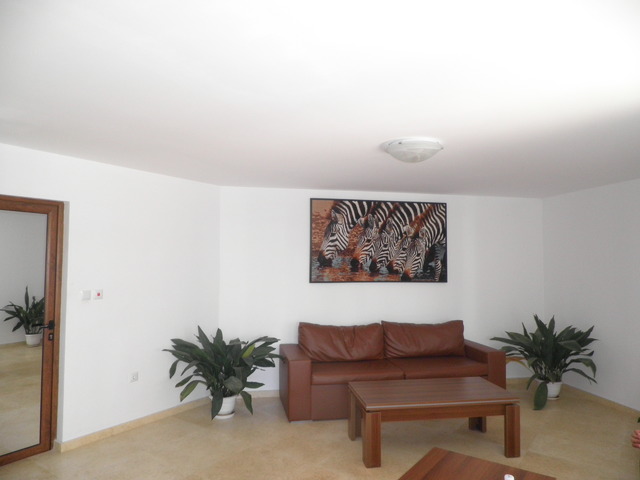 фото отеля Royal Palm (Роял Палм) изображение №45