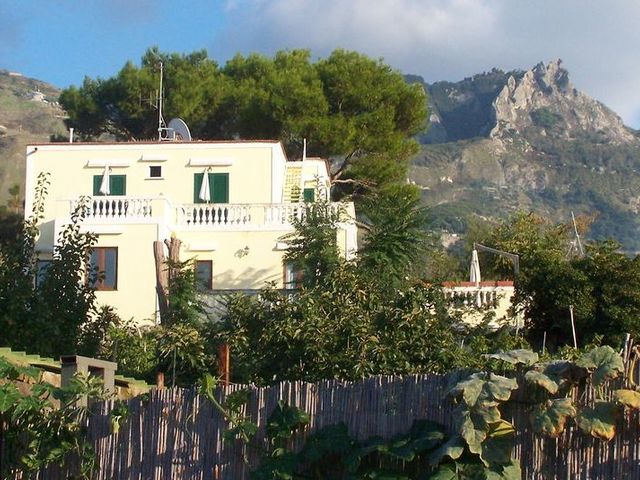 фотографии Albergo Villa Hibiscus изображение №16