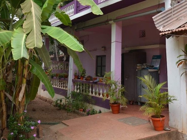 фотографии Orchid Beach House (ex. Orchid House) изображение №20