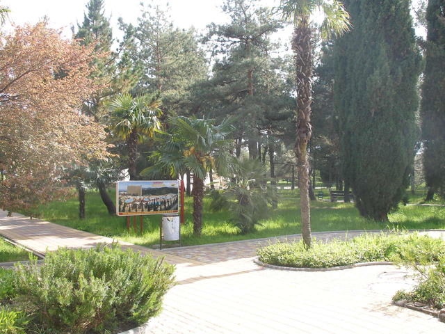 фотографии отеля Курортный Городок (Kurortnyj Gorodok) изображение №19