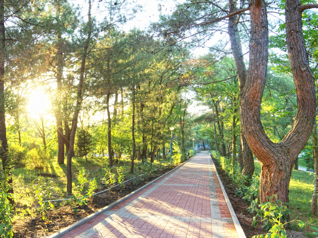 фотографии Санаторий Голубая даль (Golubaya dal) изображение №24