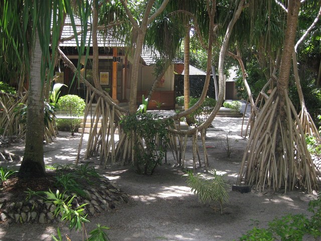 фото Adaaran Select Meedhupparu (ex. Meedhupparu Island Resort) изображение №38