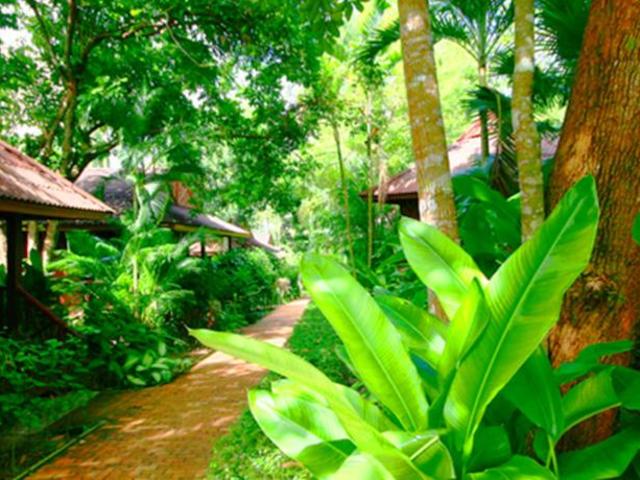 фотографии отеля Tipa Resort Hotel (ex. Ocean Garden View) изображение №39