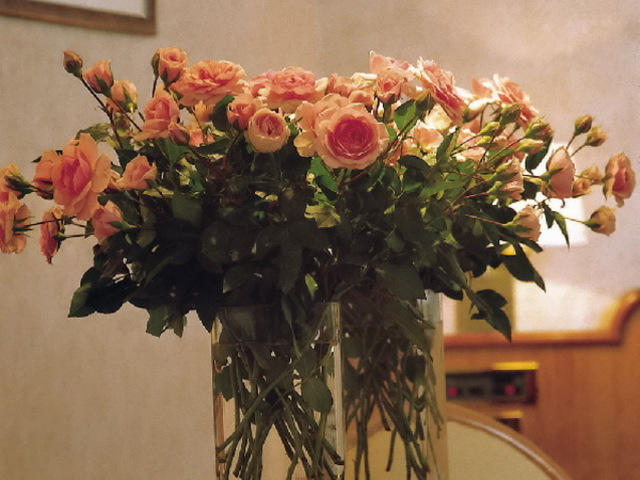 фотографии отеля Best Western Hotel Ascot Milan изображение №19