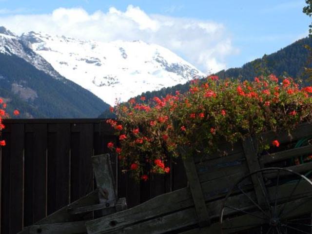 фото Villa Jolanda изображение №6