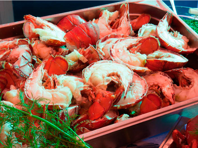 фото Best Western Premier Hotel International Brno изображение №2