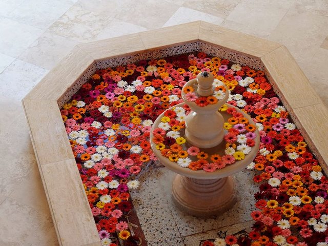фото Movenpick Resort & Residences Aqaba изображение №10
