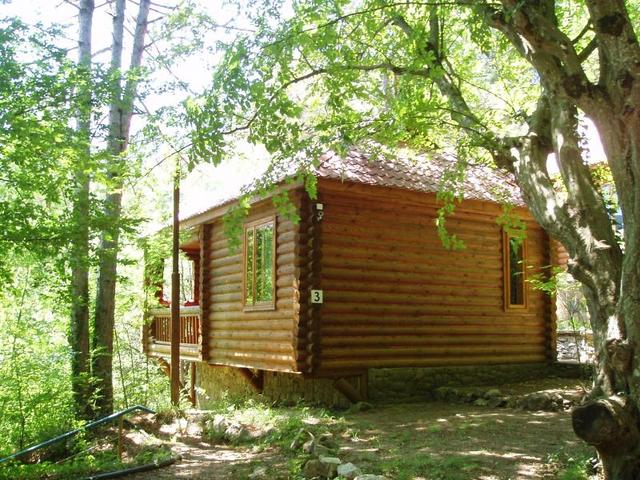 фотографии отеля Поляна Сказок (Polyana Skazok) изображение №47