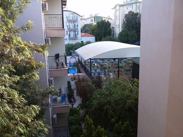 фотографии Dynasty изображение №16