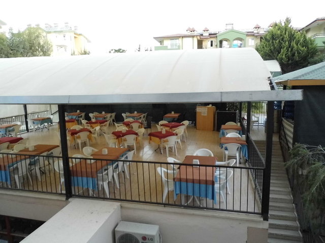 фото Dynasty изображение №18