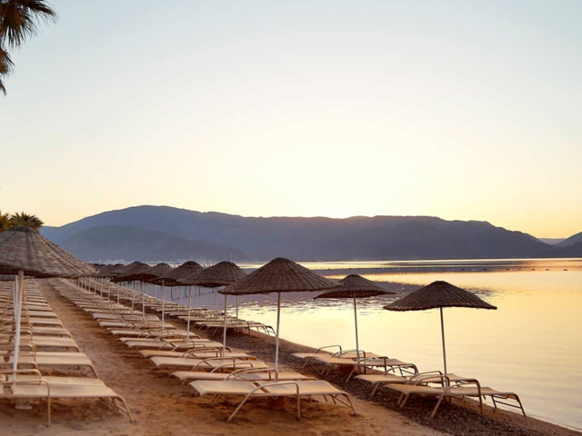 фото Ideal Prime Beach (еx. Miramer Beach; Art Lidya Beach) изображение №42