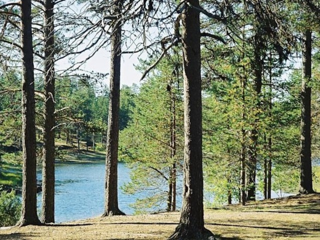 фото отеля Holida Village Petajalampi изображение №21