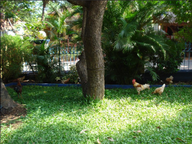 фотографии отеля The Quest изображение №11