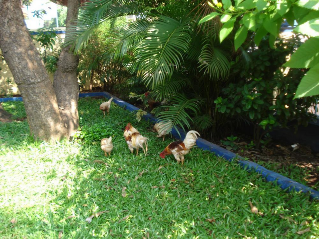 фотографии The Quest изображение №12