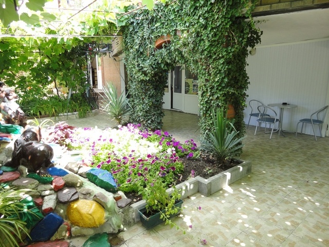 фотографии отеля Ольга (Фрунзе, 26) изображение №19