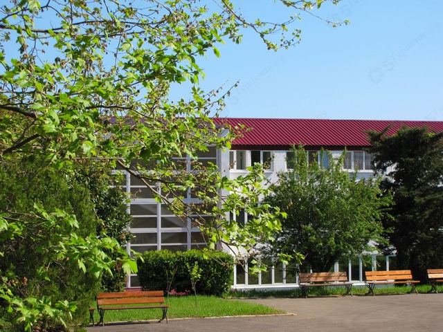 Оздоровительные комплексы новомихайловского. Морская звезда лагерь Новомихайловский. Морская звезда Туапсе детский лагерь. Детский оздоровительный лагерь морская звезда Туапсинский район. Лермонтово Туапсе морская звезда.