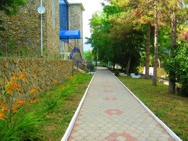 фото отеля Мечта (Mechta) изображение №9