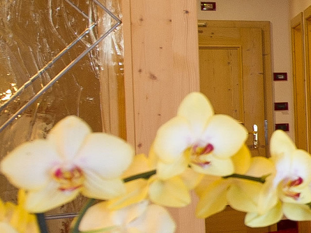 фотографии Sport Hotel Vittoria изображение №36