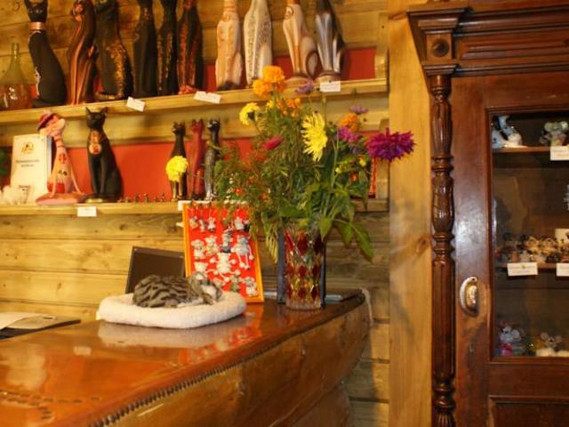 фотографии отеля Кошкин Дом изображение №19