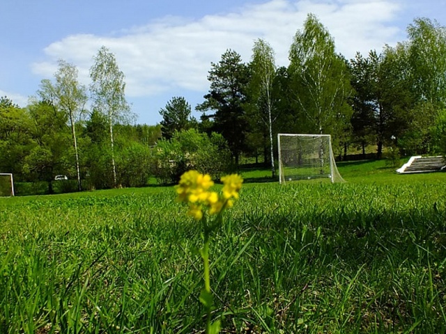 фотографии Лечебно Реабилитационный Центр «Изумруд» изображение №36