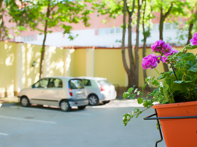 фото Memel изображение №26