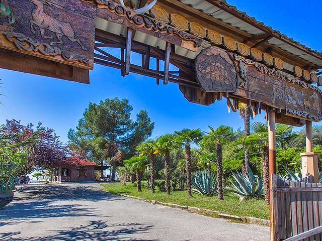 фотографии Питиус (Pitius) изображение №68