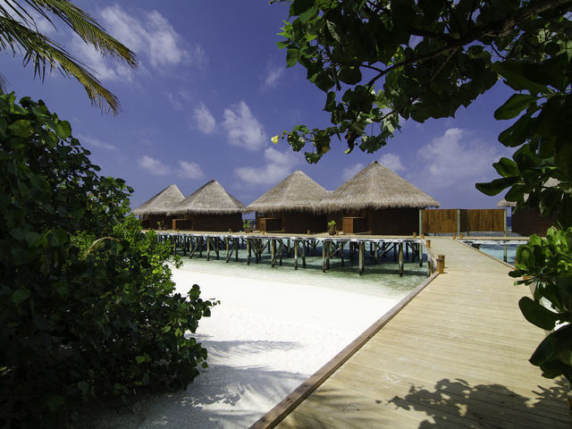 фото отеля Mirihi Island Resort изображение №21