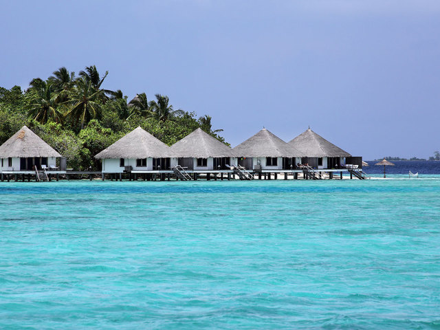 фотографии отеля Gangehi Island Resort изображение №27