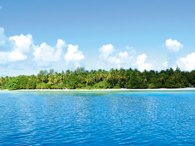 фотографии Biyadhoo Island Resort изображение №20