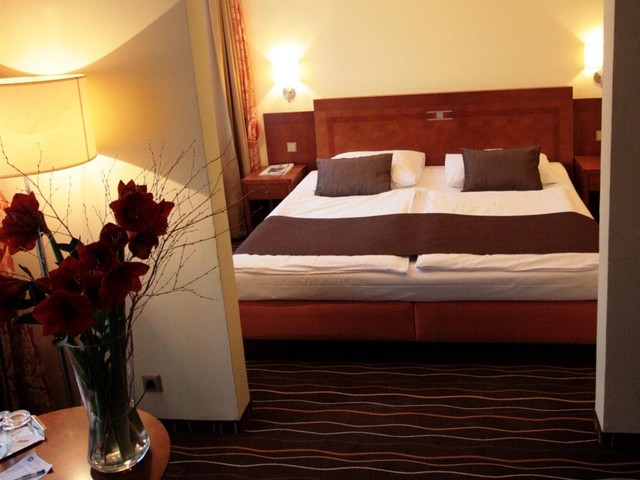 фото Luxury Family Hotel Bila Labut (ех. Best Western Hotel Bila Labut) изображение №6