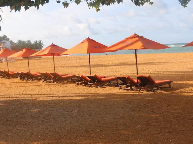 фотографии Calamander Unawatuna Beach (ex. Unawatuna Beach) изображение №28