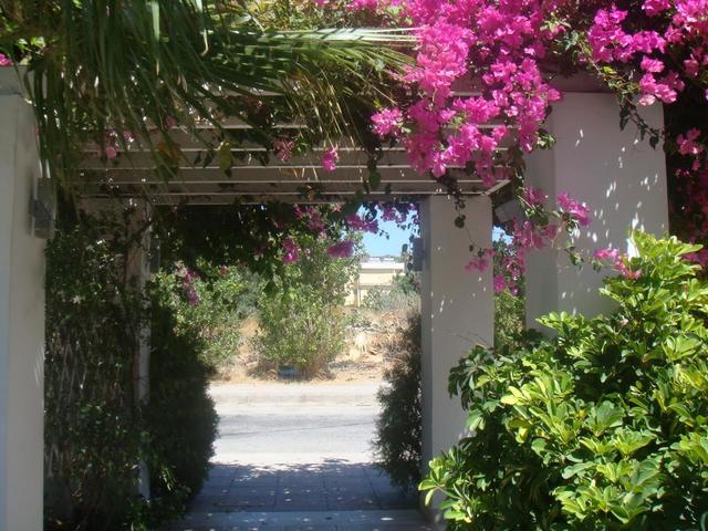 фотографии White Palace Studios изображение №8