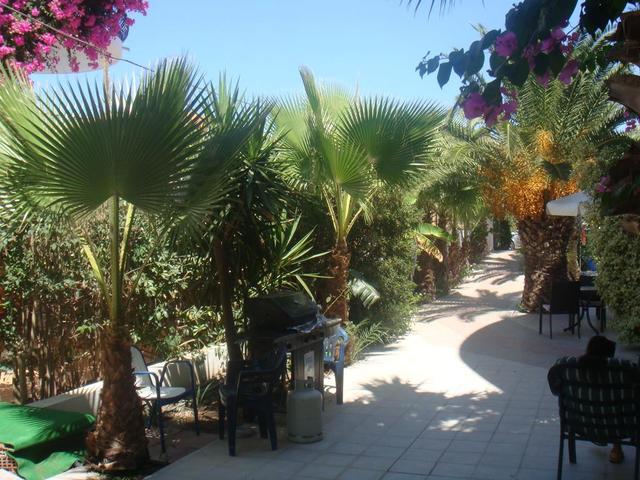 фотографии отеля White Palace Studios изображение №11