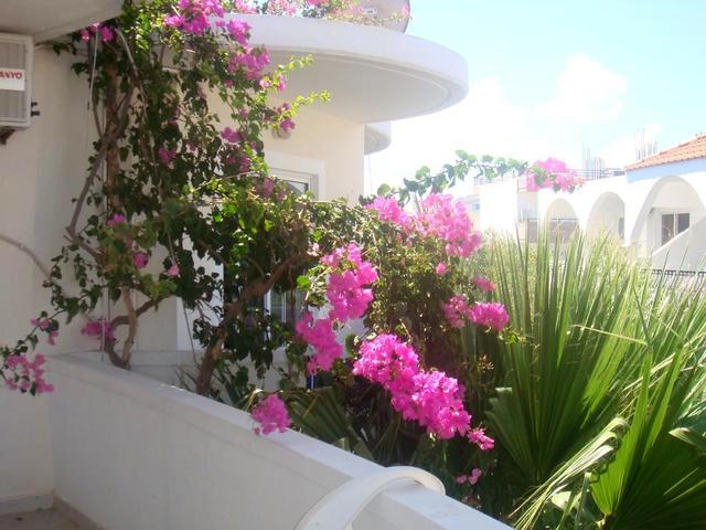 фото White Palace Studios изображение №14