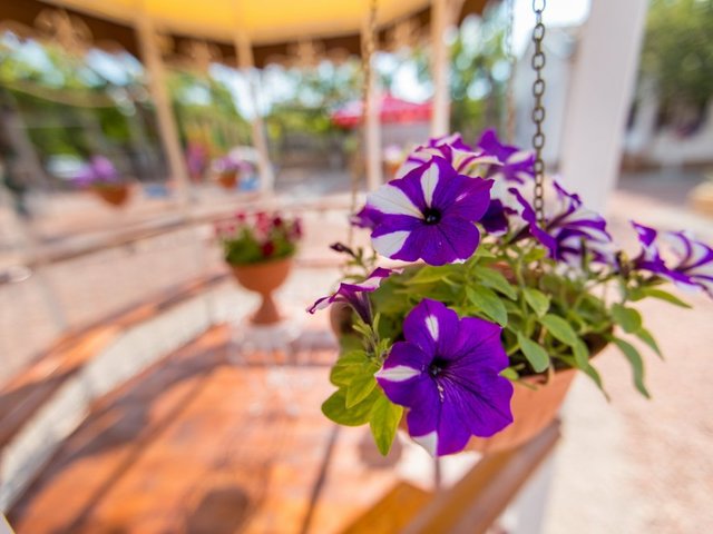 фото Федор Шаляпин (Fedor Shalyapin) изображение №10