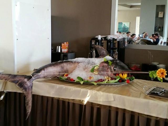 фотографии Capo Peloro изображение №8