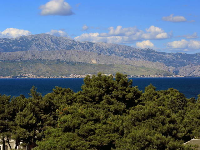 фотографии отеля Villa Adriatica изображение №11