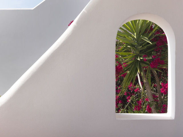 фото Aloni изображение №46