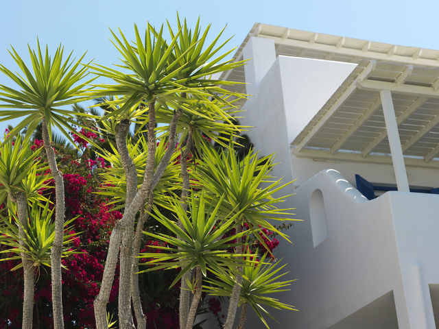 фото отеля Aloni изображение №49