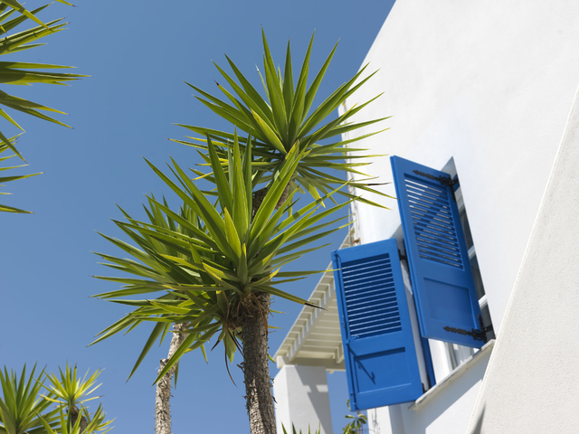 фото отеля Aloni изображение №53