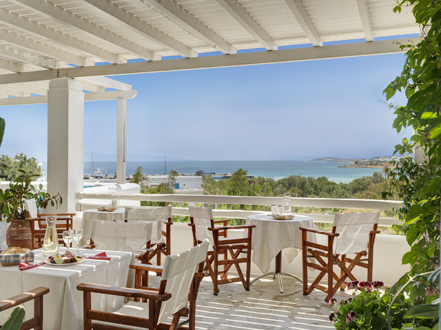 фотографии Aloni изображение №56