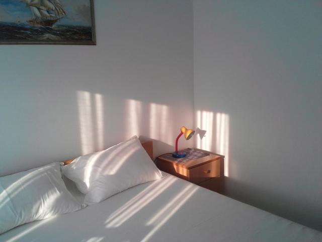 фото Parapid изображение №2