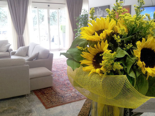 фотографии Helios Hotel Milano Marittima изображение №8