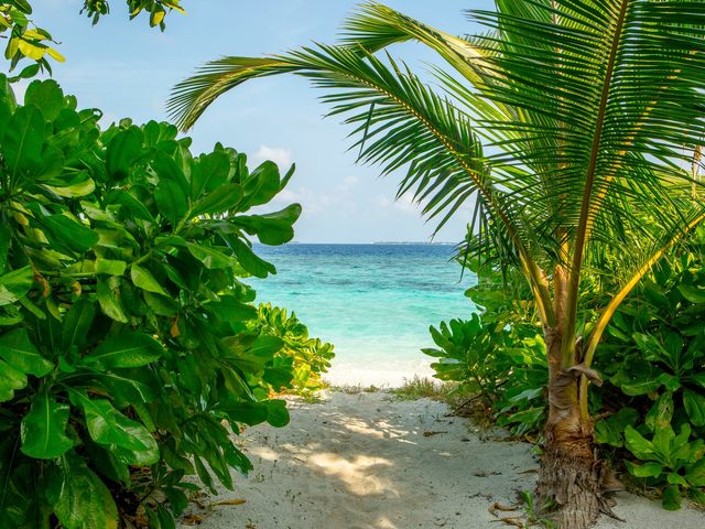 фото Furaveri Island Resort & Spa изображение №86
