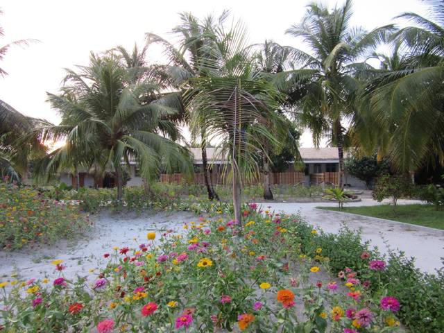 фотографии отеля Furaveri Island Resort & Spa изображение №67