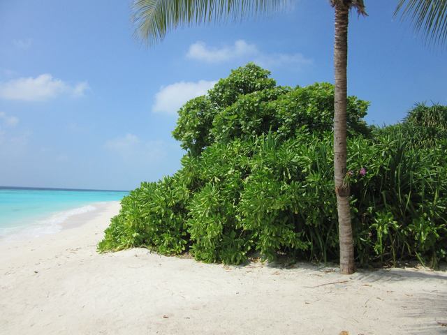 фото отеля Furaveri Island Resort & Spa изображение №65
