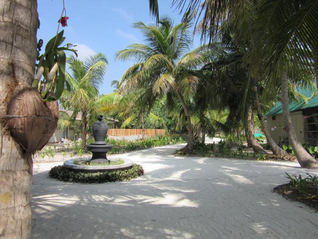 фотографии Furaveri Island Resort & Spa изображение №64